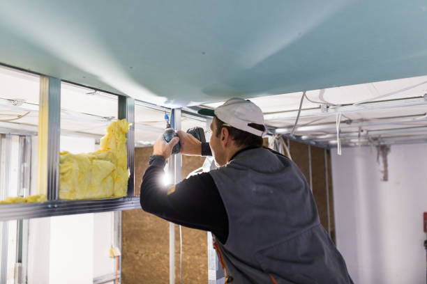 Best Specialized Insulation Services in Bernice, LA