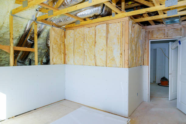 Best Eco-Friendly Insulation in Bernice, LA