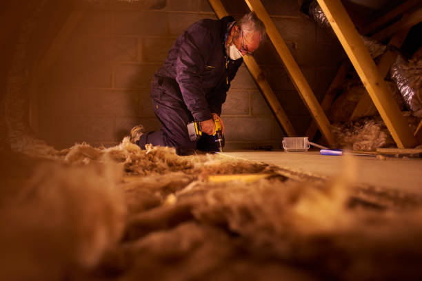 Best Geographic-Specific Insulation Services in Bernice, LA